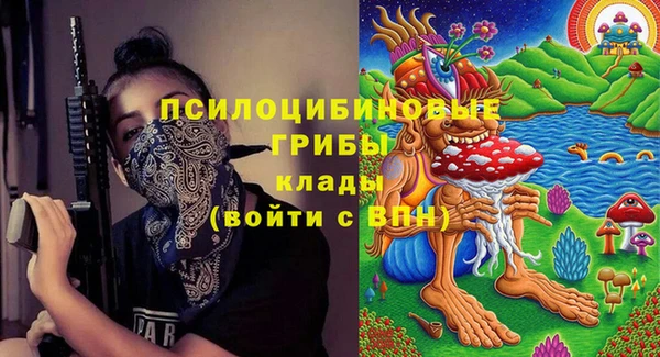 PSILOCYBIN Алексеевка